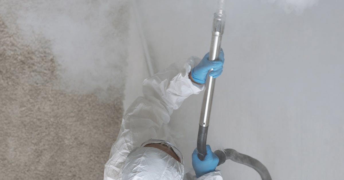 Cleaning and Restoring Carpet Post-Flood: Expert Tips