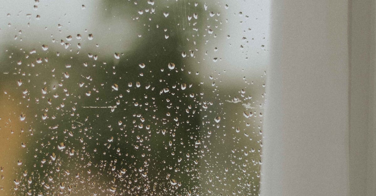 Common Mistakes to Avoid in Drainage System Installation