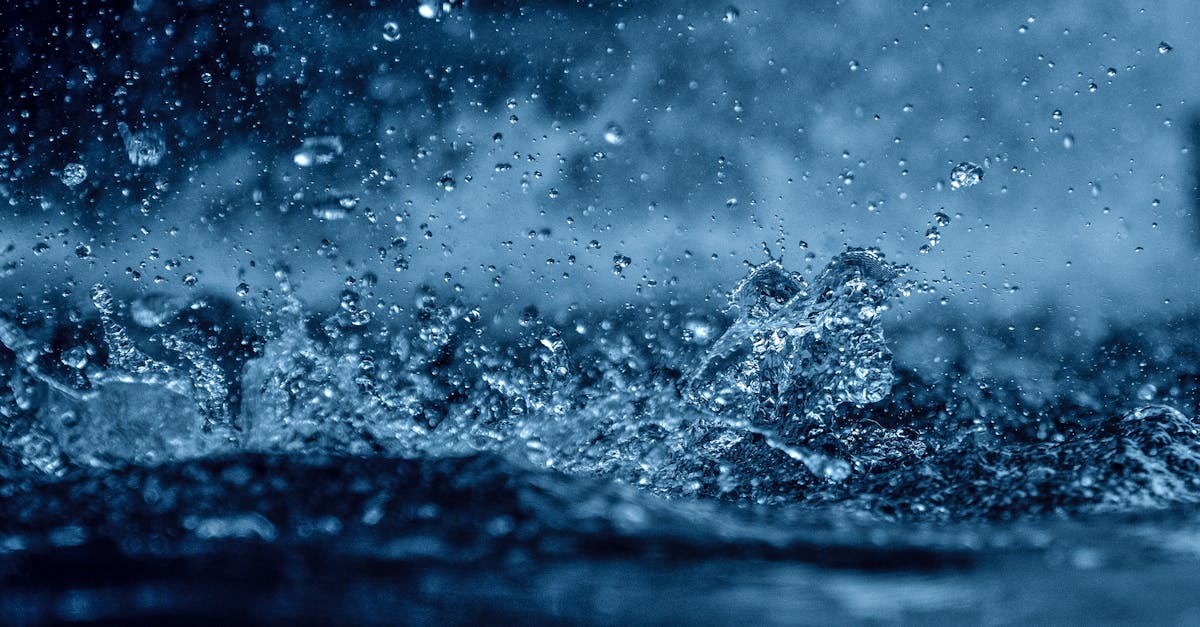 Effective Techniques for Cleaning Books and Paper Items