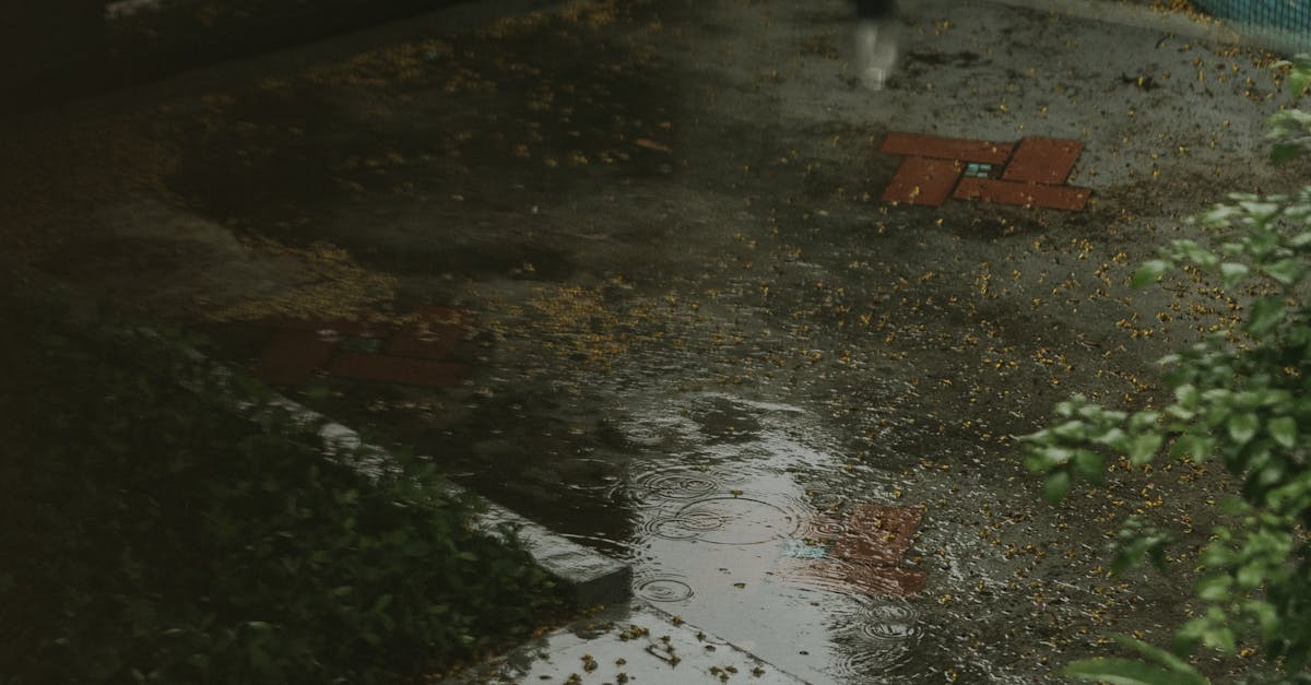 How Roof Design Affects Water Damage Risks