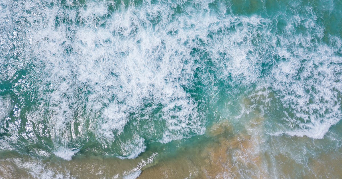 Integration of Dehumidification in Comprehensive Restoration Plans