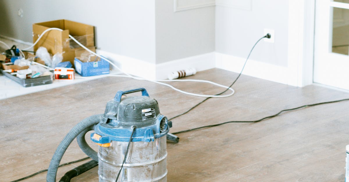 Long-Term Monitoring Solutions After Mold Removal