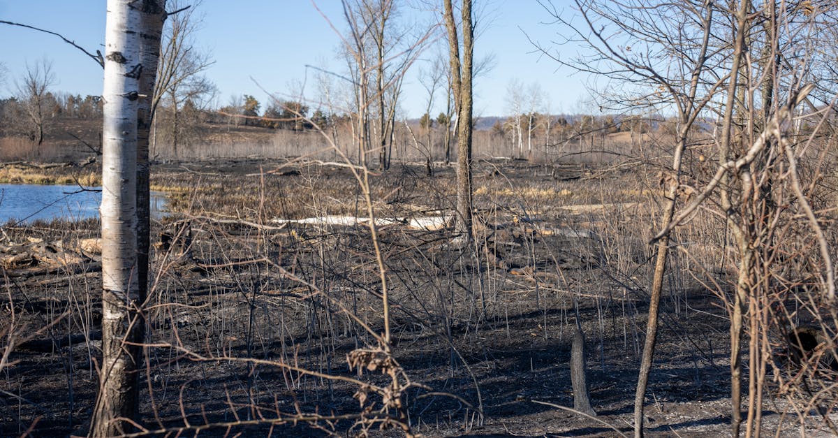 Must-Have Accessories for Efficient Water Extraction