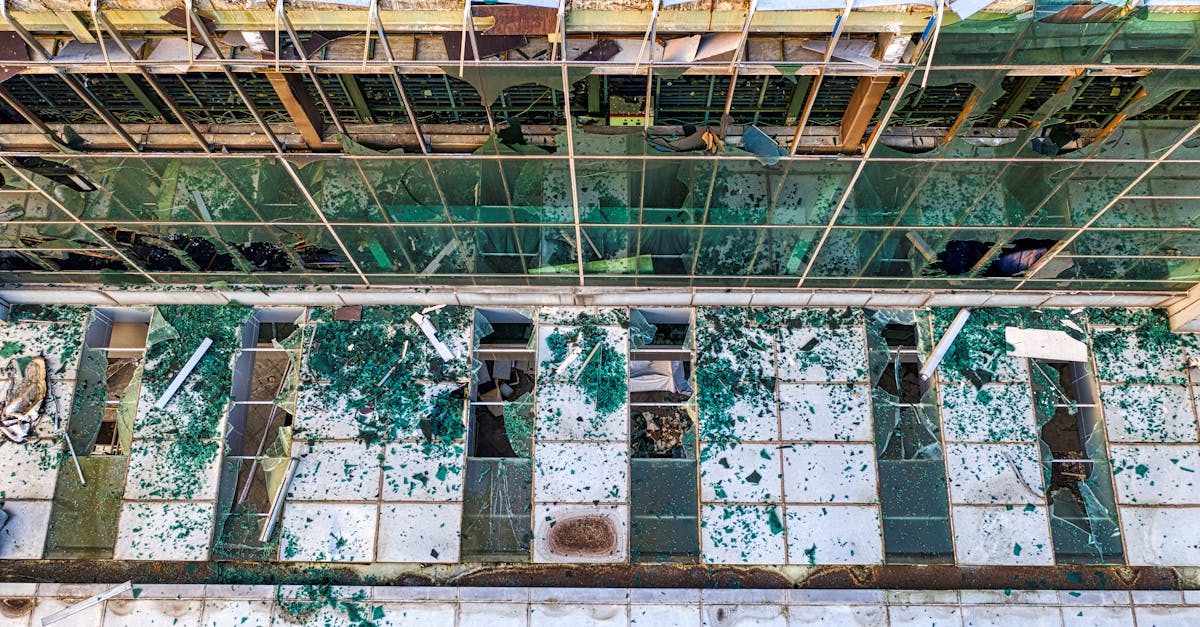 The Impact of Dishwashers on Home Water Damage