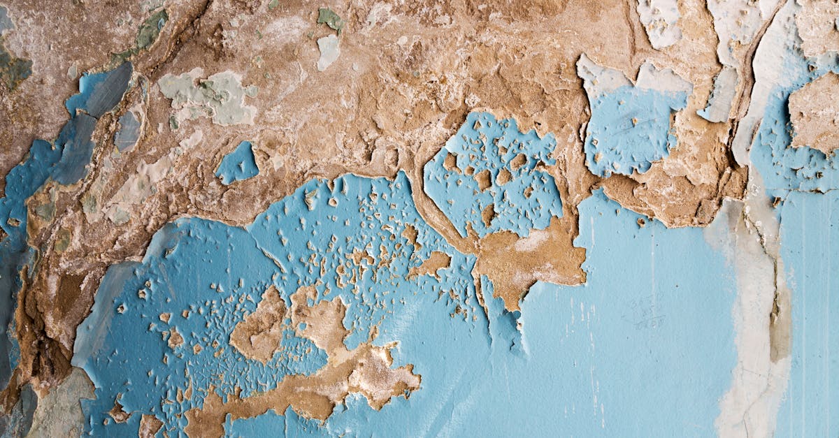 The Importance of Regular Pipe Inspections for Homeowners