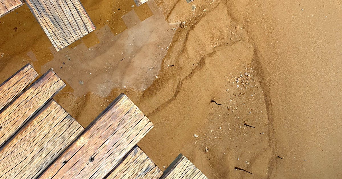 The Role of Water Detection Alarms in Preventing Costly Repairs