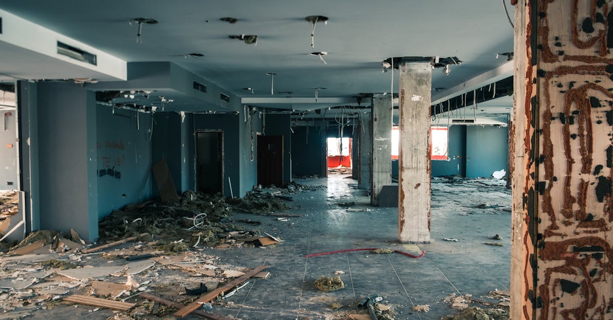 Understanding the Importance of Timely Mold Remediation