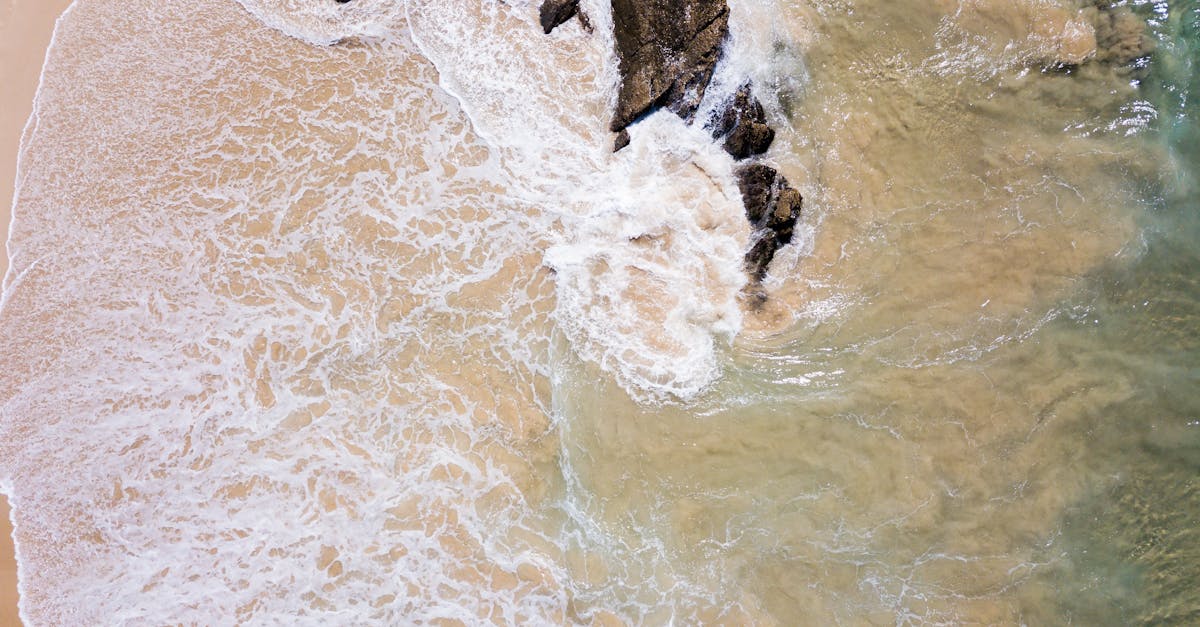 Understanding the Risks of Water Damage in Coastal Homes