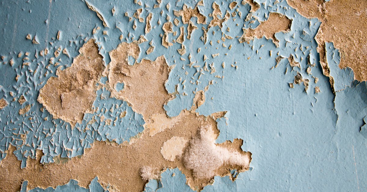 Using Social Media to Share Water Damage Prevention Tips